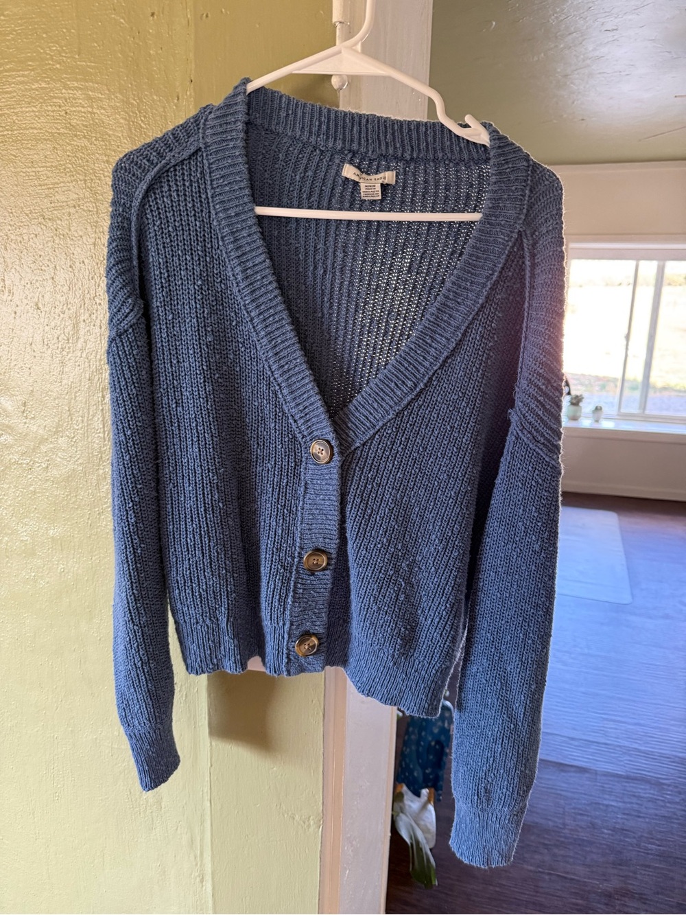 American Eagle Outfitters Slate Blue V‑Neck Button Cardigan